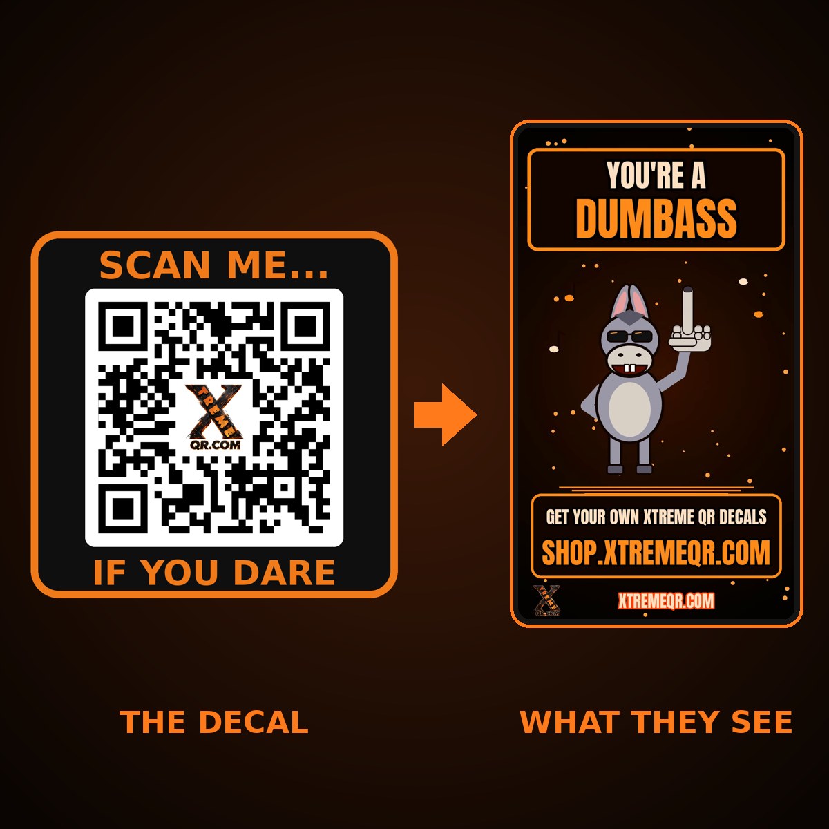 Decal #3 sticker and the donkey prank page it shows when scanned